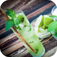 Mint - all you need to know about fresh mint!