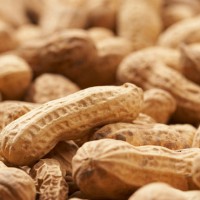 Dealing with kids food allergies in the school playground