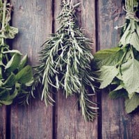 Top 10 herbs for your health
