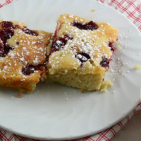 Almond Meal Slice with Raspberries
