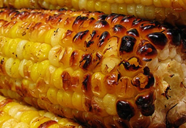 Mexican Grilled Corn With Cilantro YUM & EASY