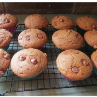 Caramel & Choc-Chip Muffins