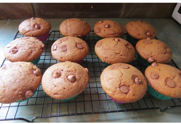 Caramel & Choc-Chip Muffins