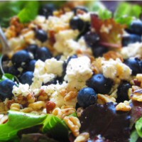 Walnut Blueberry Salad