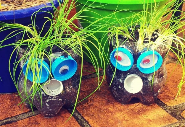 Pot Heads, having fun with seeds!