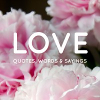 5 funny and beautiful love quotes