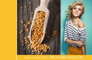 colour trends for 2014
