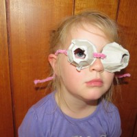 Egg Carton Sunglasses