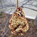 Pinecone bird feeder