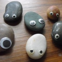 Pet rocks!