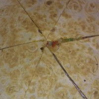 EASEY PEASEY CHEESEY APPLE TORTILLAS with Dipping Sauce