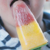 YOGHURT AND FRUIT ICY POLES