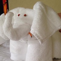 Elephant towel