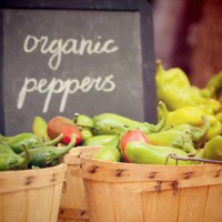Is Organic Food Making You Sick?
