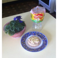 Tuna and Cheese Melt Oat Crumpets