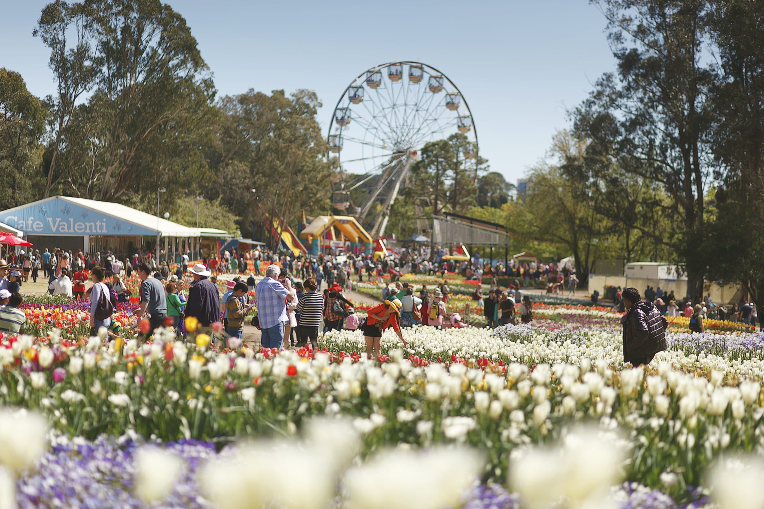 WIN a trip to Spring Extravaganza in the Nation's Capital Competition
