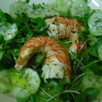 Crayfish or Lobster Salad