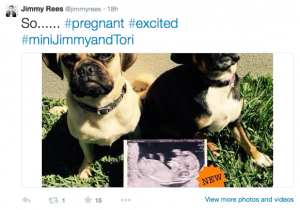 Jimmy giggle baby announcement on twitter