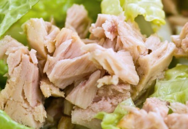 Tuna salad