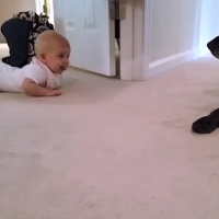 This video made our hearts melt!