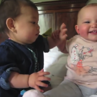 CUTE VIDEO: These babies are having a great time together! 