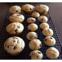 Easy Lunchbox Muffins