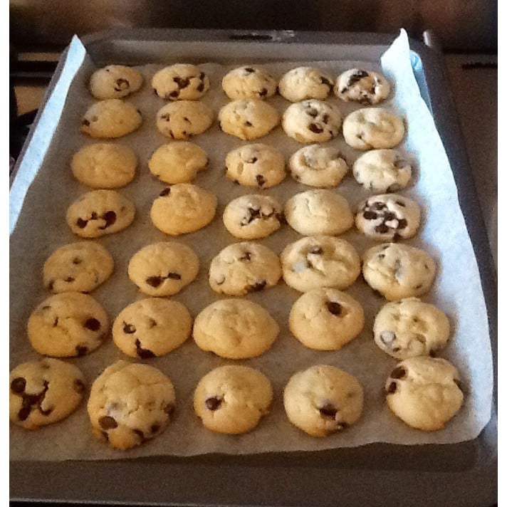 Chocolate chip biscuits