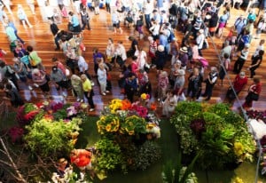Melbourne_flower_show_competition