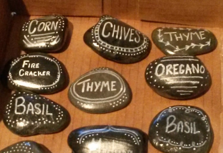 Stone herb name markers…alternative to the paddle pop stick