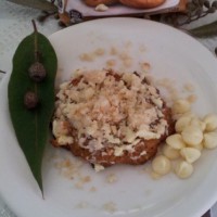 Wattleseed, Macadamia & White Choc DIGGER ANZACs