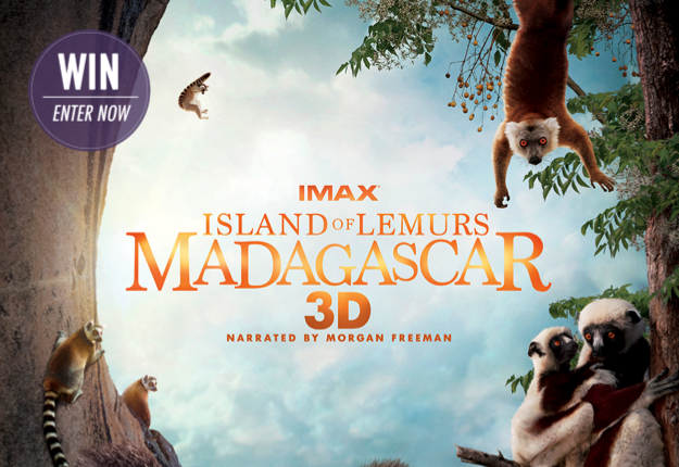 Win 1 of 10 family passes to ISLAND OF LEMURS: MADAGASCAR 3D