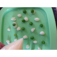 Pincer peas and mash