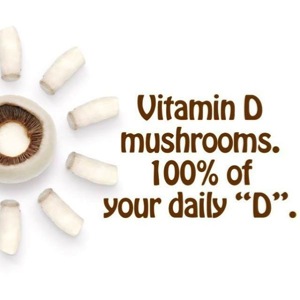 Vitamin D mushrooms_100 percent of your daily D_300x300