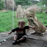 When kids go to the zoo