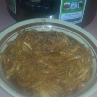 Slow Cooked Shredded Honey Barbecued Chicken