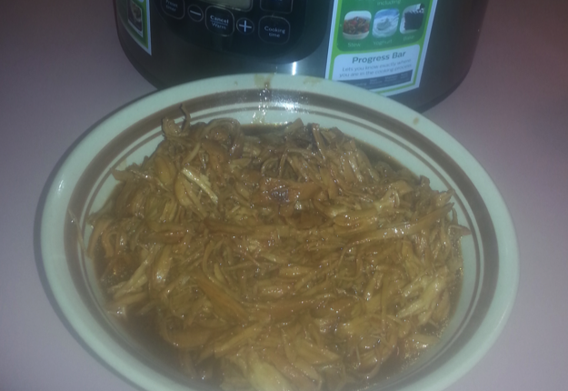 Slow Cooked Shredded Honey Barbecued Chicken