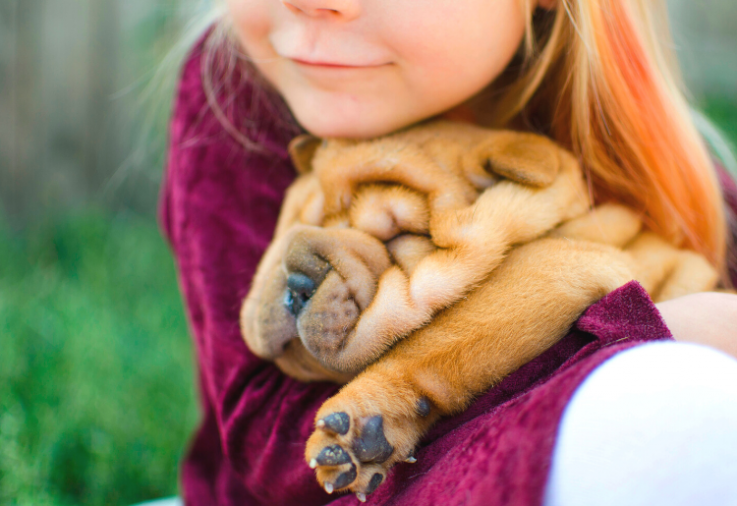 image of girl holding dog - five ways to keep your dog happy and healthy this winter