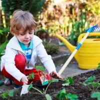 Getting the dirt on healthy eating for kids