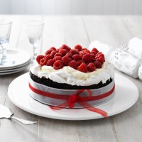 Chocolate Pavlova Cake