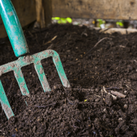 How to compost at home