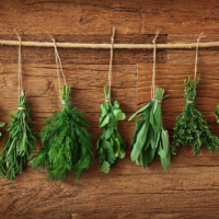 How to dry fresh herbs so they last up to 12 months!