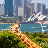 5 things to do this school holidays in Sydney