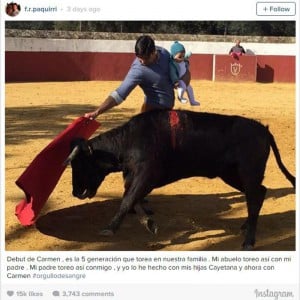 Bullfighterinline