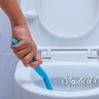 How to keep your toilet clean without chemicals