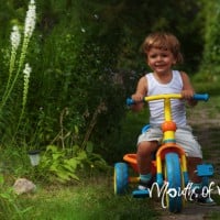 He may not ‘grow out of it’. A checklist for parents of 0–5 year olds.