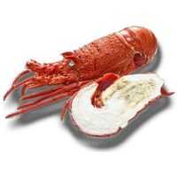 Western Australian Rock Lobster Cooked Frozen Small