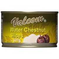 Valcom Canned Chestnuts Water Sliced