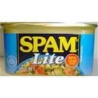 Spam Ham Spiced Lite Less Fat
