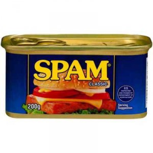 Spam Ham Spiced
