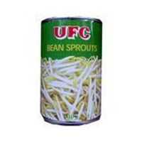 Ufc Canned Bean Sprouts